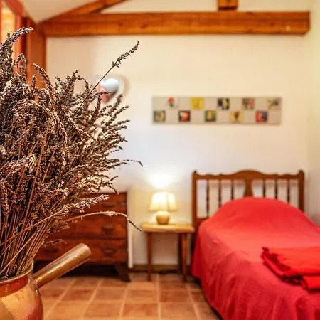 Petite Maison Atypique - Ferme - Gaillac Ferienhaus