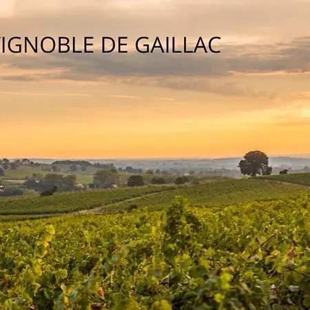 Petite Maison Atypique - Ferme - Gaillac Rivières